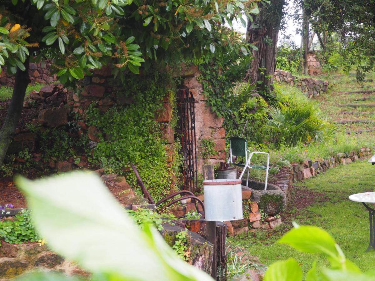 Mas Cal Sastre Guest House Sant Hilari Sacalm Luaran gambar